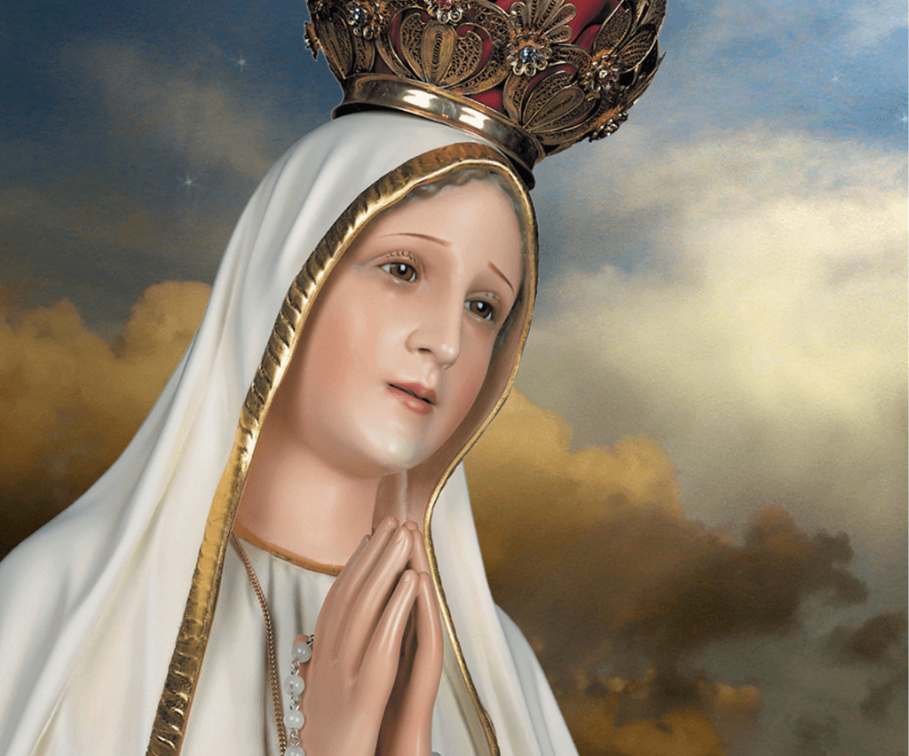 Aktion zur Verbreitung der Botschaft von Fatima - Moralische Krise, Verfolgung durch Synodalen Weg